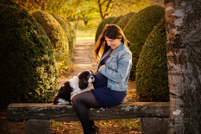 femme enceinte assise sur un banc avec son chien