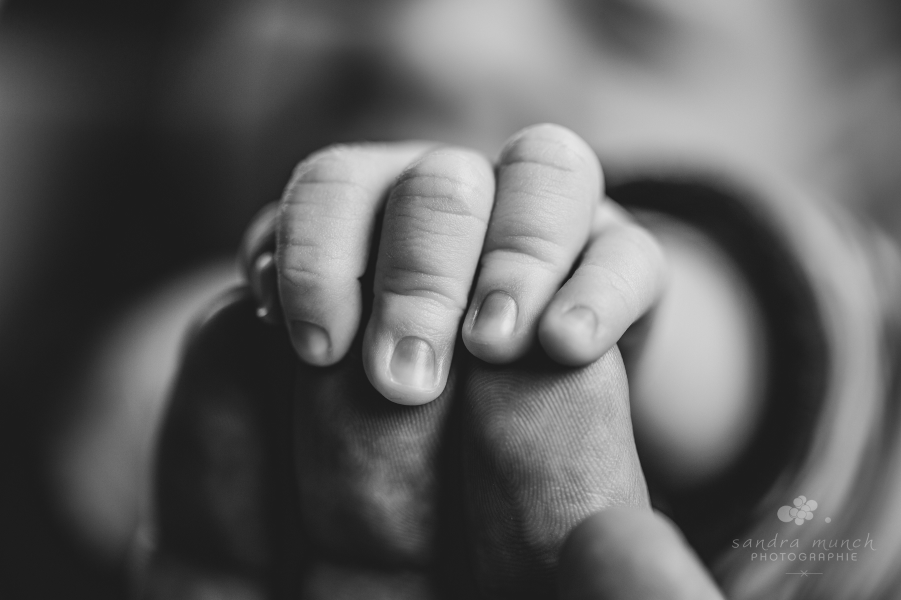 séance photo nouveau-né petite main de bébé
