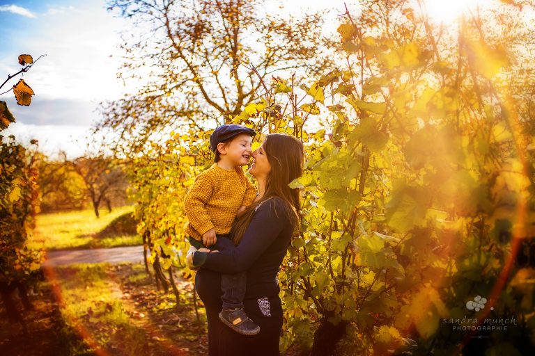 femme enceinte avec son fils qui s'embrassent dans le vignoble alsacien